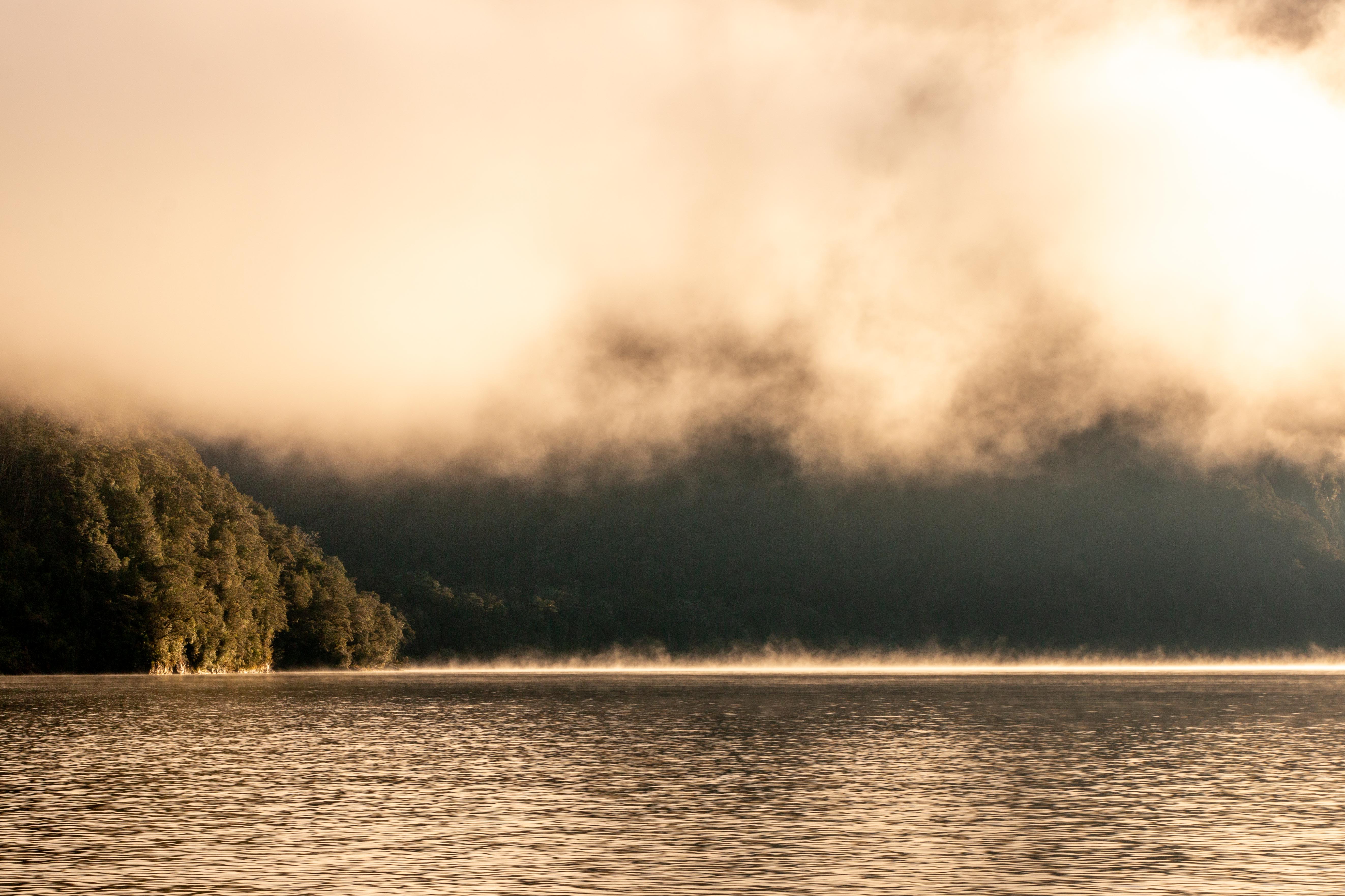 Vinyasa Workshop Series